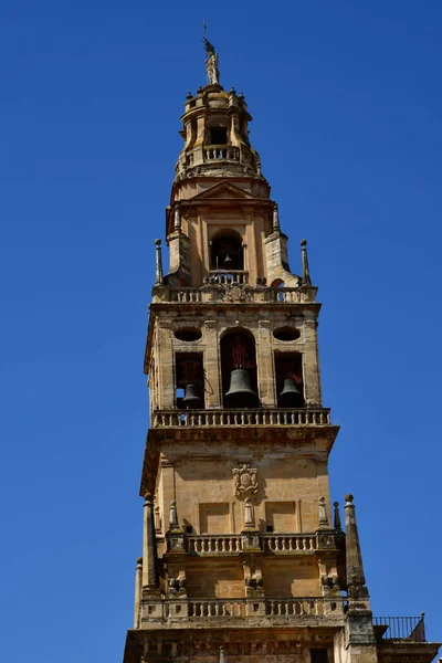 Córdoba Espanha Agosto 2019 Catedral Mesquita — Fotografia de Stock