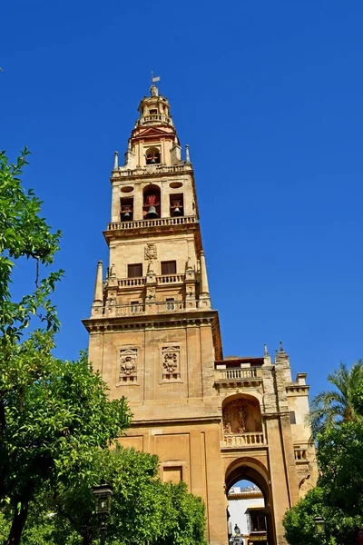 Cordoba Spagna Agosto 2019 Cattedrale Della Moschea — Foto Stock