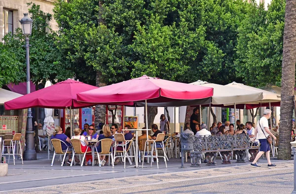 Jerez Frontera Spanya Ağustos 2019 Tarihi Şehir Merkezinde Plaza Del — Stok fotoğraf