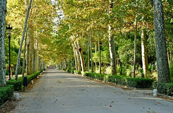 Seville Spain August 2019 Maria Luisa Park — Stok fotoğraf