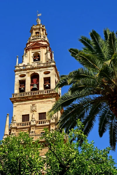 Cordoba Spagna Agosto 2019 Cattedrale Della Moschea — Foto Stock