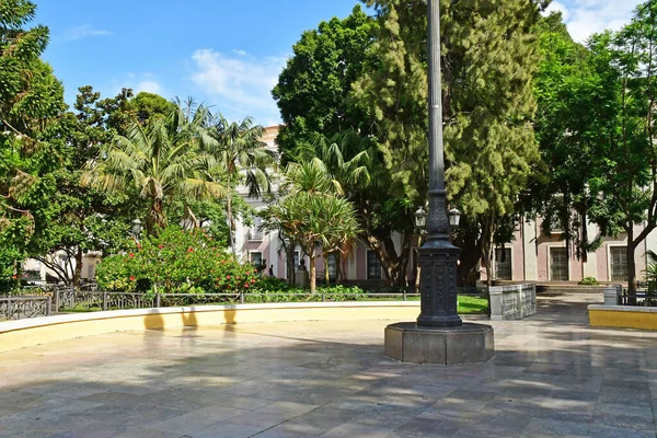 Cadiz Spain August 2019 Historical City Centre — стокове фото
