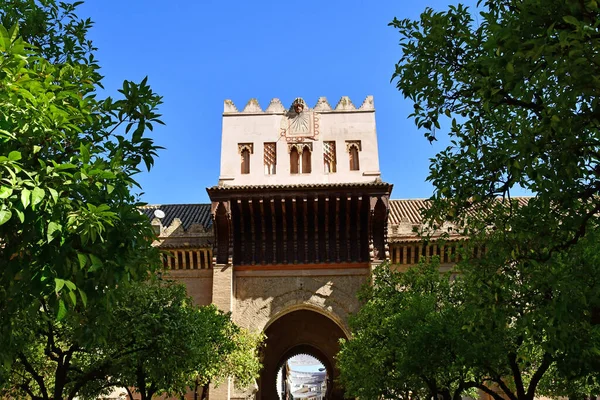 Sevilha Espanha Agosto 2019 Catedral Histórica — Fotografia de Stock