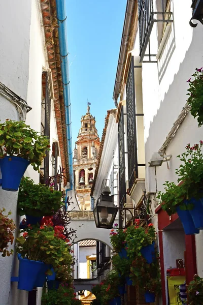 Cordoba Spanien August 2019 Die Altstadt — Stockfoto