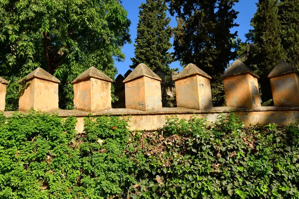 Sevilha Espanha Agosto 2019 Jardines Del Real Alcazar — Fotografia de Stock