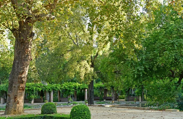 Siviglia Spagna Agosto 2019 Parco Maria Luisa — Foto Stock