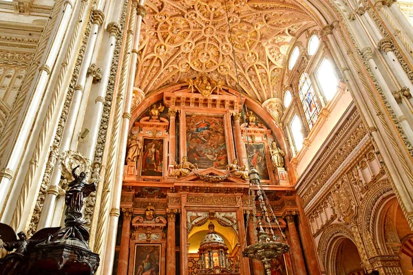 Κόρδοβα Ισπανία Αυγούστου 2019 Καθεδρικός Ναός Του Τεμένους — Φωτογραφία Αρχείου