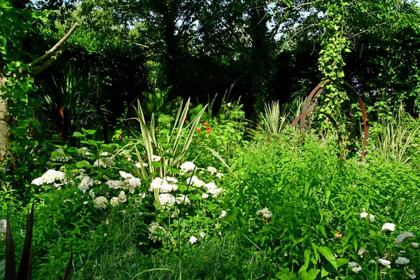 Chaumont Sur Loire França Junho 2019 Festival Internacional Des Jardins — Fotografia de Stock