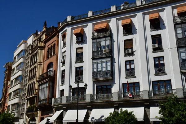 Seville Spain August 2019 Historical City Centre — ストック写真