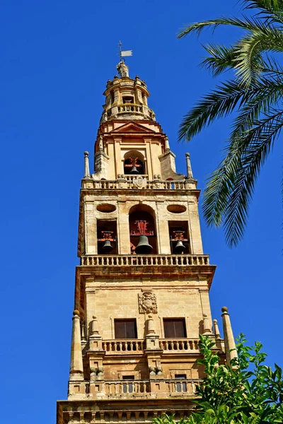 Cordoba Spagna Agosto 2019 Cattedrale Della Moschea — Foto Stock