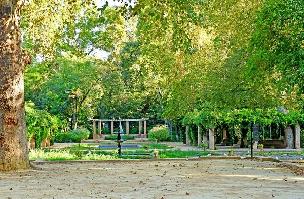 Sevilha Espanha Agosto 2019 Parque Maria Luisa — Fotografia de Stock