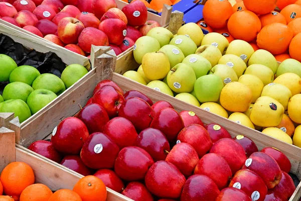 Dunkerque France January 2019 Fruits Vegetables Saturday Market Stock Picture