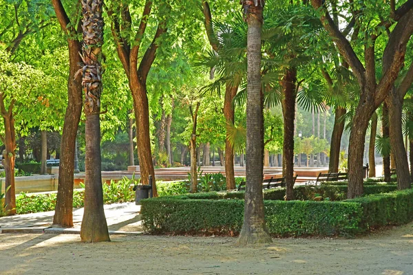 Sevilla Spanje Augustus 2019 Park Het Historische Stadscentrum — Stockfoto