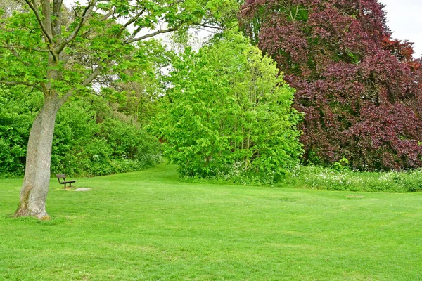 Londres Hampstead Inglaterra Maio 2019 Parque Hampstead Heath — Fotografia de Stock