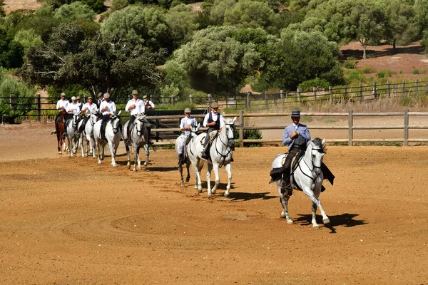 Medina Sidonia Spain August 2019 Acampo Abip Org — 图库照片