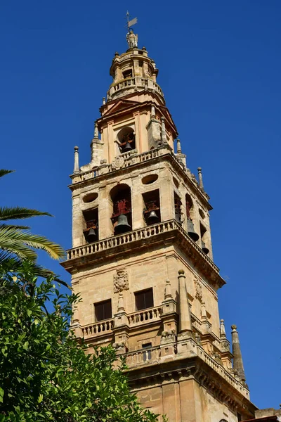 Cordoue Espagne Août 2019 Cathédrale Mosquée — Photo