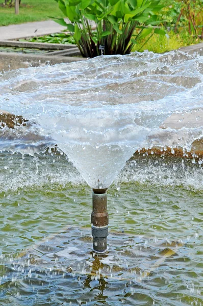 Montreal Quebec Kanada Juni 2018 Brunnen Botanischen Garten Der 1931 — Stockfoto