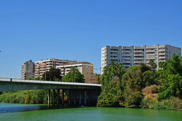 Seville Spain August 2019 Modern Buildings Guadalquivir — ストック写真