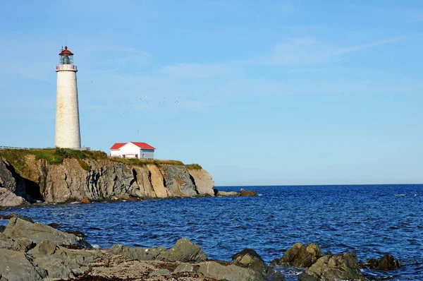 Quebec Canada June 2018 Lighthouse Cap Les Rosiers Gaspesie — Stock Photo, Image