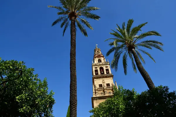 Córdoba España Agosto 2019 Catedral Mezquita — Foto de Stock