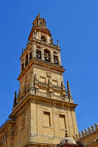 Cordoba Spanien August 2019 Die Moschee Kathedrale — Stockfoto