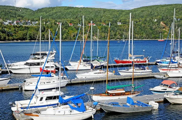 Quebec Canada Juni 2018 Pittoreske Haven Van Tadoussac — Stockfoto