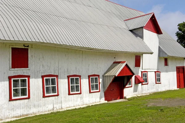 Quebec Kanada Haziran 2018 Orleans Adasındaki Ahır — Stok fotoğraf