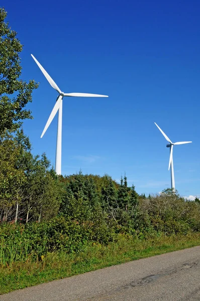 Quebec Kanada Haziran 2018 Gaspesie Kaptan Sohbeti Nde Rüzgar Jeneratörleri — Stok fotoğraf