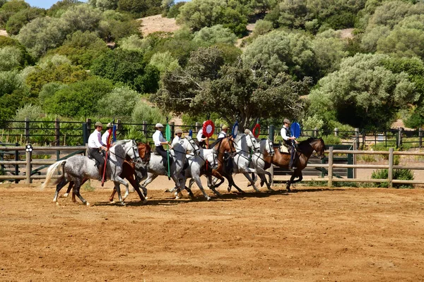 Medina Sidonia Spanya Ağustos 2019 Acampo Abierto — Stok fotoğraf