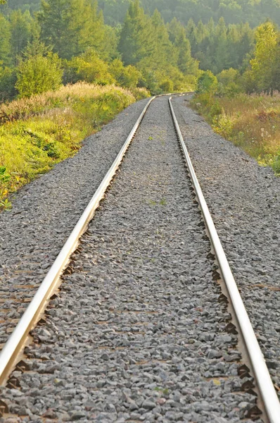 Quebec Canada Juni 2018 Een Spoorlijn Larouche — Stockfoto