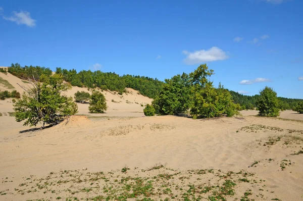 Quebec Canadá Junio 2018 Las Pintorescas Dunas Pueblo Tadoussac —  Fotos de Stock