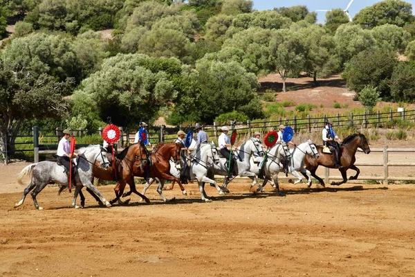 Medina Sidonia Spanya Ağustos 2019 Acampo Abierto — Stok fotoğraf