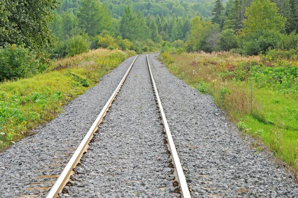 Quebec Canadá Junio 2018 Ferrocarril Larouche — Foto de Stock
