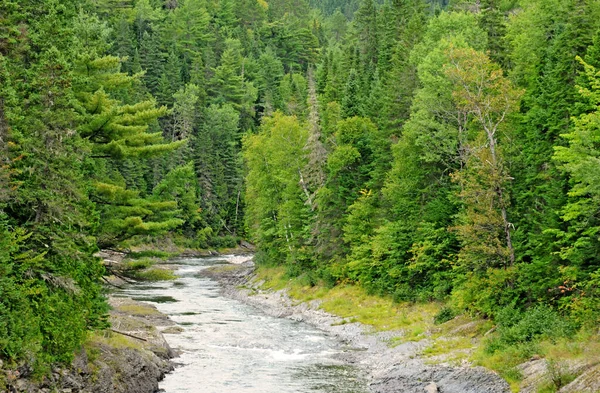 Quebec Kanada Czerwca 2018 Rzeka Assemetquagant Matapedii Gaspesie — Zdjęcie stockowe
