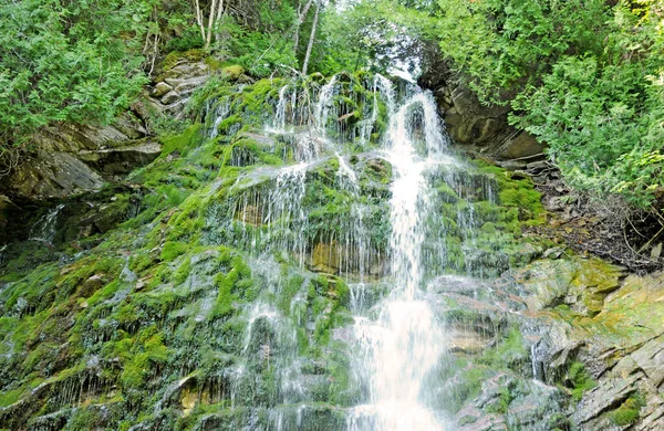 Quebec Canada Juni 2018 Watervallen Het Parc National Forillon Gaspesie — Stockfoto