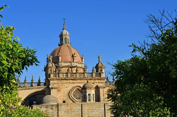 Jerez Frontera Espagne Août 2019 Cathédrale Historique Salvador — Photo