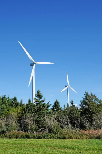 Quebec Kanada Haziran 2018 Gaspesie Kaptan Sohbeti Nde Rüzgar Jeneratörleri — Stok fotoğraf