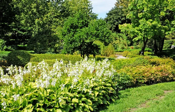 Montreal Quebec Canada June 2018 Botanical Garden Created 1931 — Stock Photo, Image