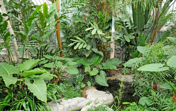 Montreal Quebec Canadá Junho 2018 Jardim Botânico Criado 1931 — Fotografia de Stock