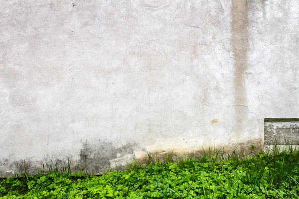 Pared de calle envejecida — Foto de Stock