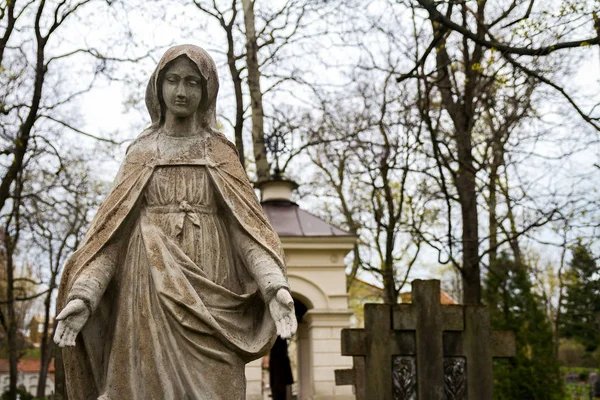 Statuia Fecioarei Maria — Fotografie, imagine de stoc