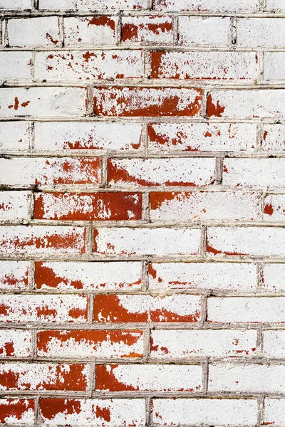 レンガの壁のテクスチャ — ストック写真
