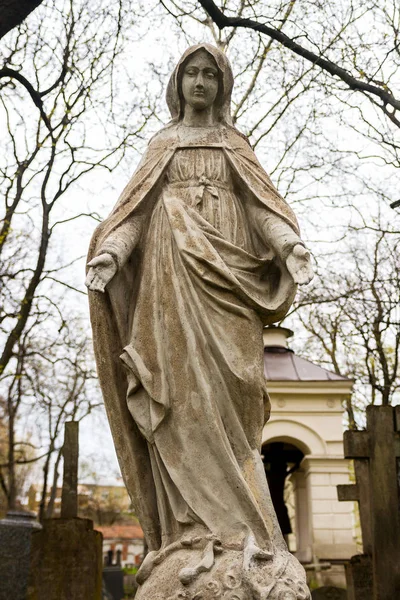 Statua della Vergine Maria — Foto Stock