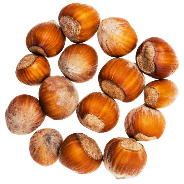 The heap of hazelnuts — Stock Photo, Image