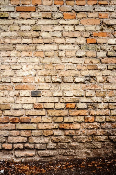 Gelbe Backsteinmauer Hintergrund — Stockfoto