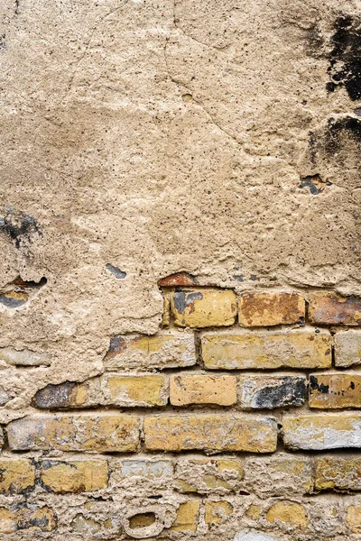 Alte Ziegelmauer — Stockfoto