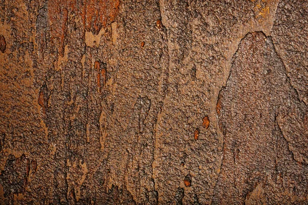 Brown wall texture — Stock Photo, Image