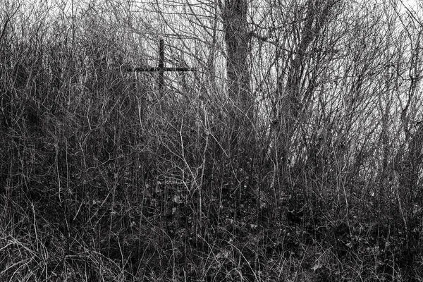 Velha cruz no cemitério católico de Rasos em Vilnius, Lituânia — Fotografia de Stock