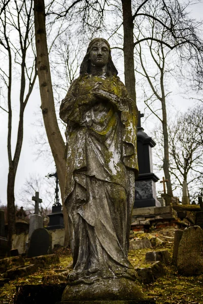 Статуя Девы Марии — стоковое фото