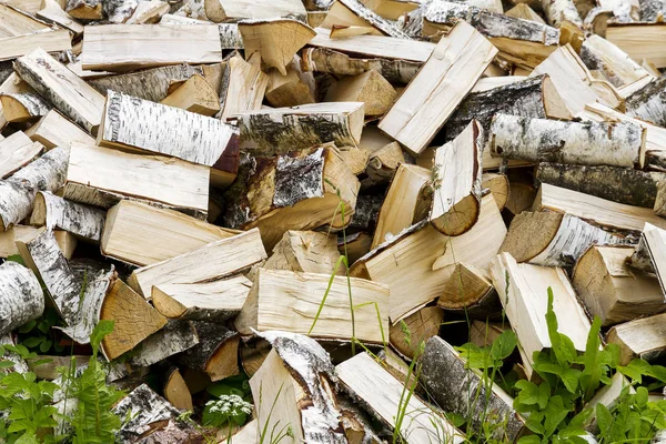 Chopped logs for winter fire — Stock Photo, Image